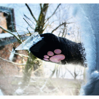 Ed, The Cat ijskrabber pluche handschoen