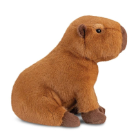 Aurora Borealis Capibara Knuffel 28 cm – Luxe Zachte Pluchen Capibara