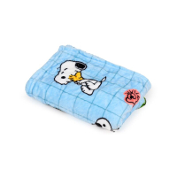 Peanuts Snoopy & Woodstock 2-in-1 Knuffel & Reisedeken