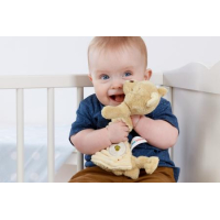 Winnie de Poeh Hundred Acre Wood Collectie knuffeldoekje