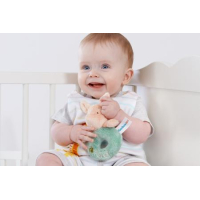 Winnie the Pooh – Hundred Acre Wood Piglet Ring Rattle