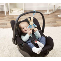 Peter Rabbit Jiggle Toy plush with ring