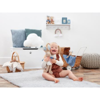 Peter Rabbit Signature Friends plush 34 cm