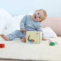 Pippi Langkous Vormenstoof van Hout – Houten Sorteerdoos met 6 Vormen – Educatief Babyspeelgoed – Vanaf 12 Maanden