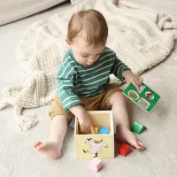 Pippi Langkous Vormenstoof van Hout – Houten Sorteerdoos met 6 Vormen – Educatief Babyspeelgoed – Vanaf 12 Maanden