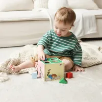 Pippi Langkous Vormenstoof van Hout – Houten Sorteerdoos met 6 Vormen – Educatief Babyspeelgoed – Vanaf 12 Maanden