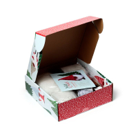 Christmas Gnoom haakpakket