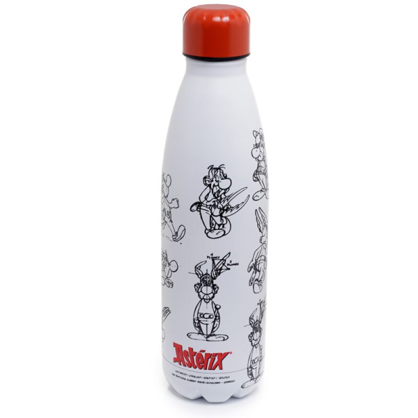 Gourde Isotherme Astérix & Obélix 500 ml