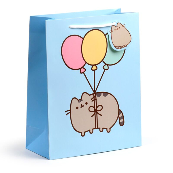 Pusheen de Kat Ballonnen Cadeautasje – Large