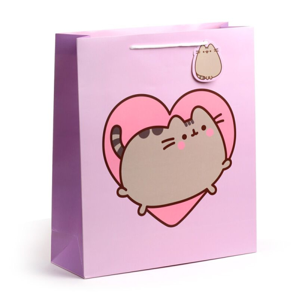 Pusheen de Kat Hart Cadeautasje – XL