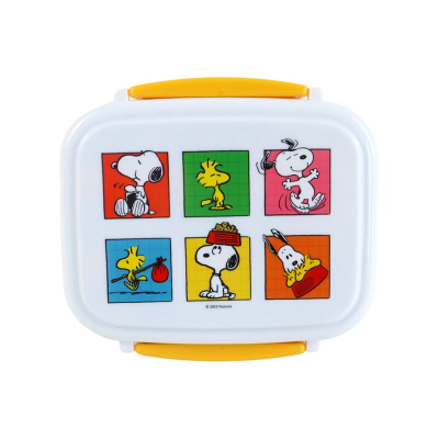 Peanuts Snoopy & Woodstock Bento Lunch Box met bestek