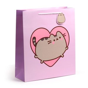 Pusheen de Kat Hart Cadeautasje – XL