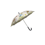 Pierre Lapin parapluie