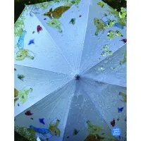 Peter Rabbit Umbrella