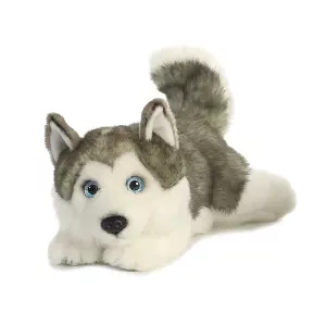 Aurora MiYoni peluche Husky 28 cm