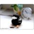 B.Duck Petite Tirelire canard Noir